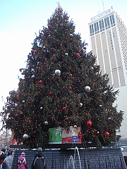 017 Detroit Scenes [2008 Nov 27]